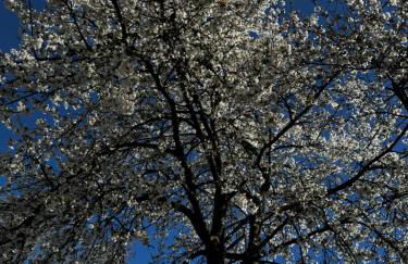 Ferienwohnung Weitblick - Foto 52