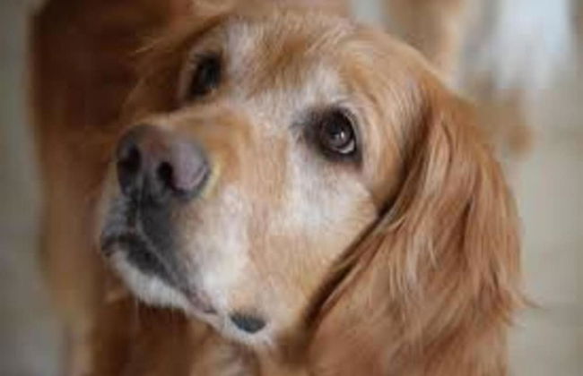 Private Pool & Terrace Stay - Foto 30