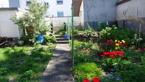 Apartment Haus - Foto 4, Garden
