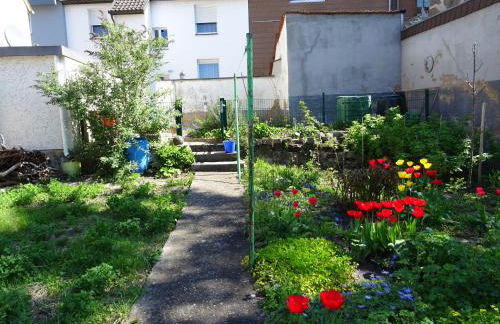 Apartment Haus - Foto 4