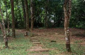Casa Costa na beira da Lagoa acesso trilha ou barco - Foto 4