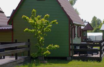 Osrodek Nadmorski Osieki - Foto 21