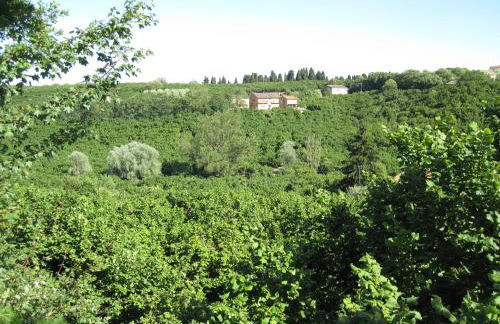 Country house Dolce Nocciola - Foto 35