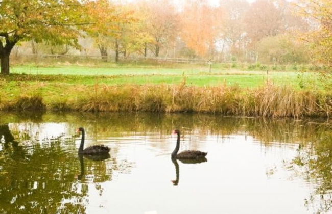 Villa in Germany With Sauna & Bubble Bath - Foto 34