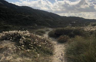 le gîte de Martine en Baie de Somme - Foto 70