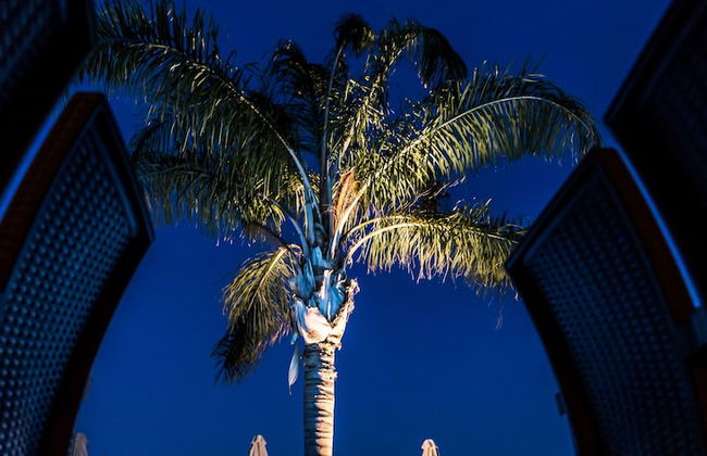 Colonides Beach Hotel - Foto 54