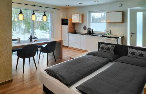 Apartment Cësa Zinch - Foto 14