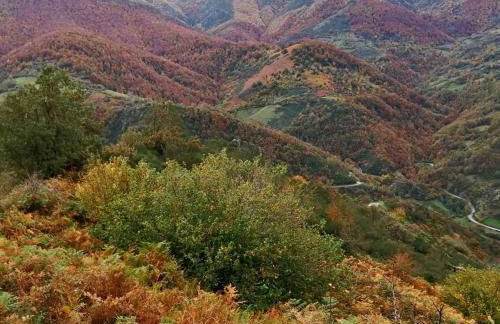 APARTAMENTOS RURALES EL PRIVILEGIO - Foto 44