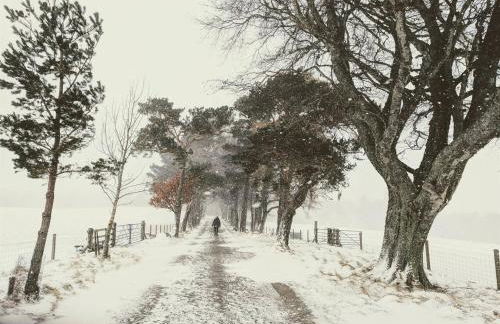 Spectacular Mountain View Ecopod - Foto 22