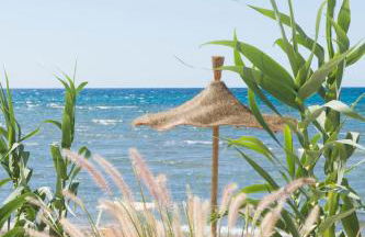 Calitro Mare - Foto 37