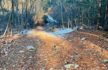 Golden Hill Oasis - Foto 7