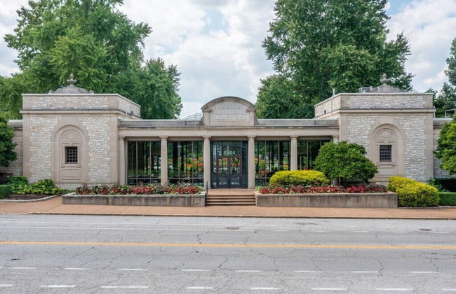 Cozy Family Home - Walk to MO Botanical Gardens - Photo 59