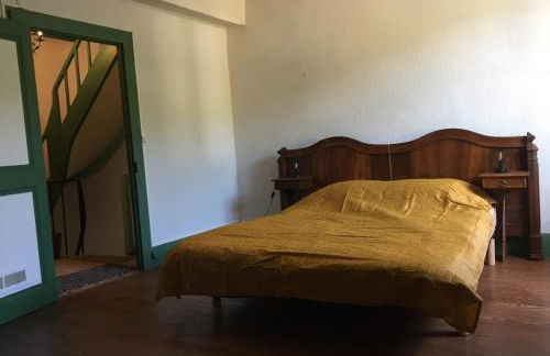 Cœur de Herisson - Foto 11