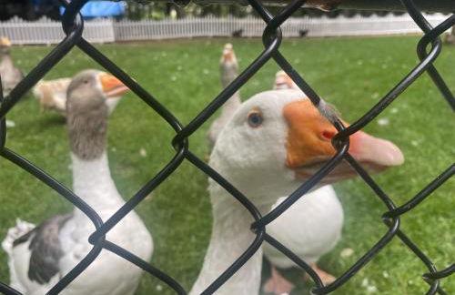 The Hive - Unique Themed Getaway - Foto 25