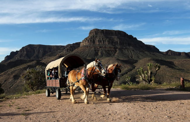 Grand Canyon Western Ranch - Foto 44