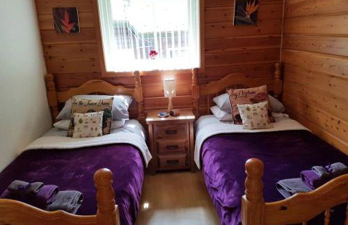 Luxurious lodge, Woodlands View, Hot tub at Rudyard Lake, couples or small family - Photo 7