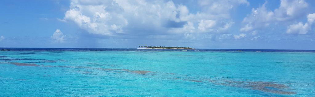 Saona Island - VIP Tour - Photo 1