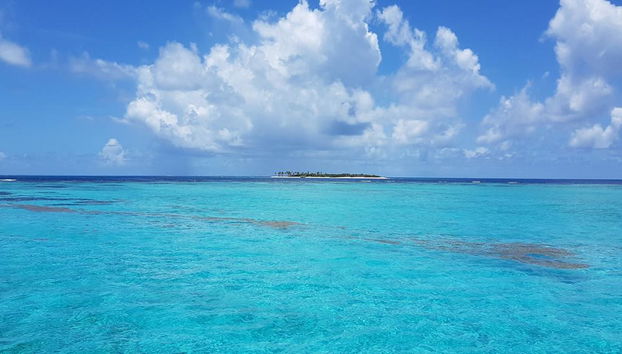 Excursión Isla Saona VIP - Foto 3