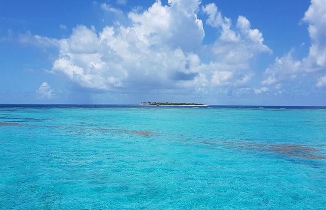 Saona Island mit dem Schnellboot erkunden - Ganztagesausflug - Foto 2