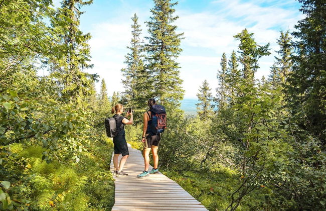 12 Person Holiday Home in Idre - Foto 3