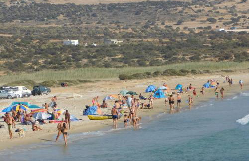 Paradise Studios - Foto 62