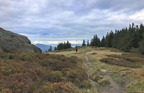 Villa in Bayern nahe Skiloipen & Sauna - Photo 80