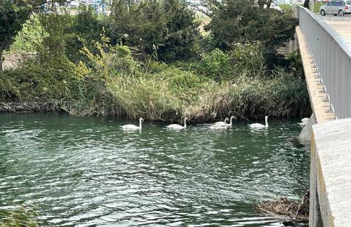VILLENEUVE LOUBET PLAGE- Entre NICE et CANNES - Foto 72