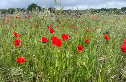 New Luxury barn with pool table nr southwold - Foto 37