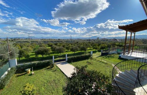 Into the green - Foto 3