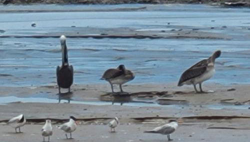 Home Away from Home 2 bedroom house - Foto 5