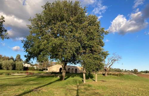 Agriturismo Pieve San Biagio - Adults Only - Foto 36