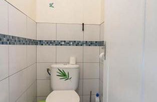 Les hortensias - Foto 18