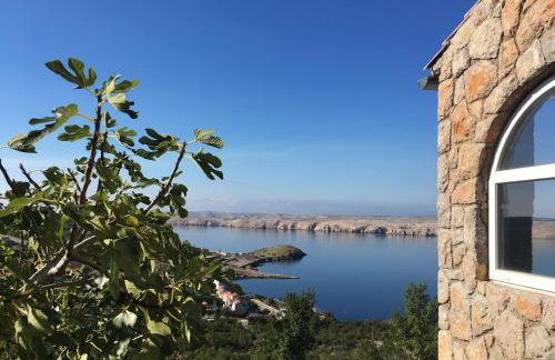 Apartment Stinica 31b - Photo 1