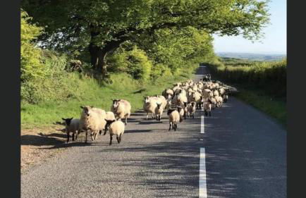 Cottage on Exmoor - Sleeps 8 & Parking - Photo 12