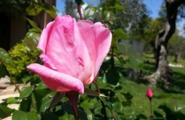 I Giardini Di Margius - Foto 63