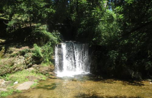 le moulin blanc - Photo 48