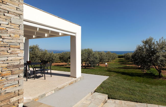 Casa Del Olivar - Photo 47