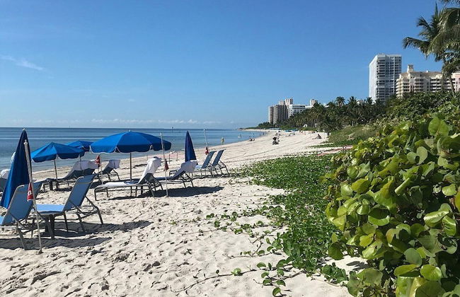 Stay at Ritz Carlton Key Biscayne Miami - Photo 24