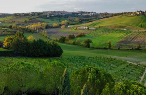 Agriturismo La Terrazza sul Mangia - Foto 14