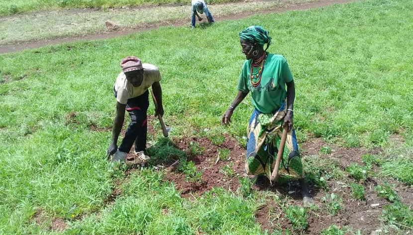 Tour de 10 días por el País Bassari y el delta del Salum - Foto 2, Campesinos senegaleses