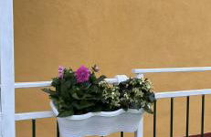 Sogno vesuviano - Photo 42