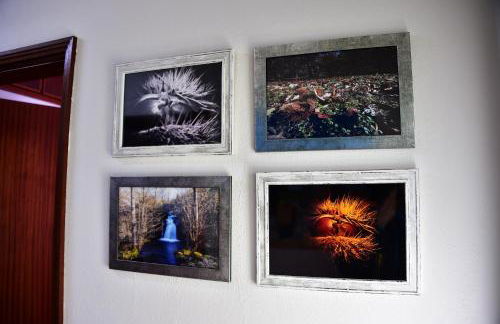 CASA DA BARREIRA 121202/AL (Alojamento Local) - Foto 19