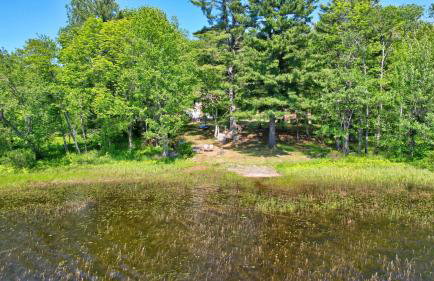 Authentic Maine Log CabinLakefrontKayaksPets - Foto 9