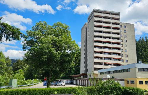 Ferienwohnung Tannenballett im Schwarzwald - Foto 37