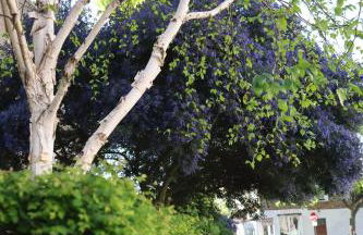 The Chic Retreat - Foto 15