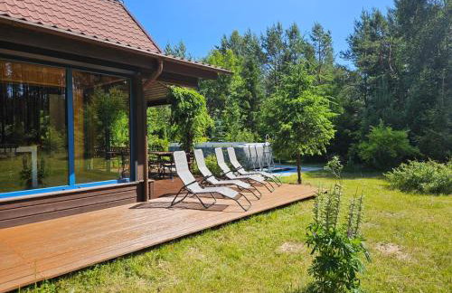 Leśne Wspomnienia - Foto 3