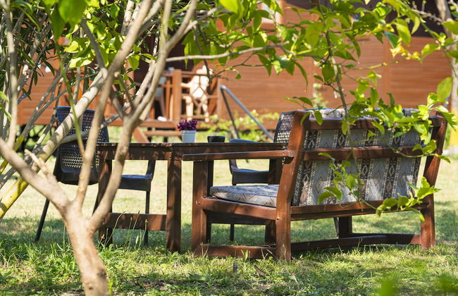 La Maison Hotel Çıralı - Foto 50