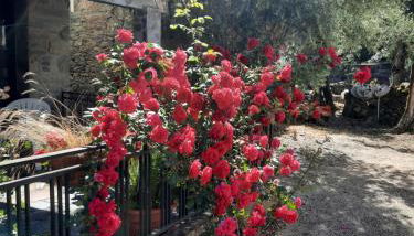 Casa Penafalcão - Foto 3, Garden view