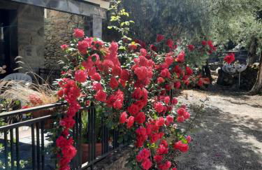 Casa Penafalcão - Foto 3