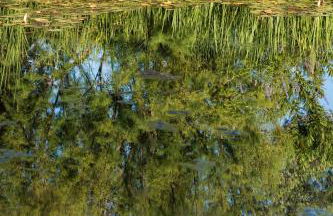 Altanure Casa Terra - Ecological Holiday & Retreats Villa - Foto 8